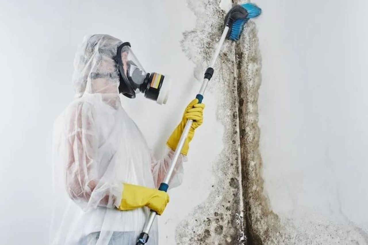 VOC Removal for Office